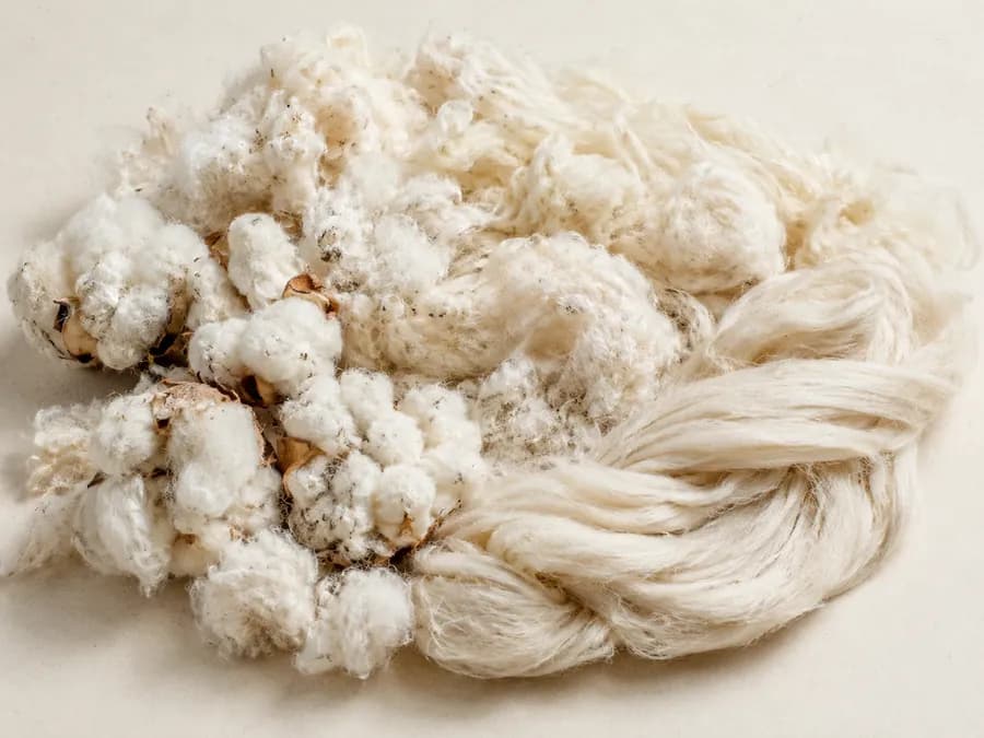 Raw undyed cotton fibre and combed sliver on pale paper