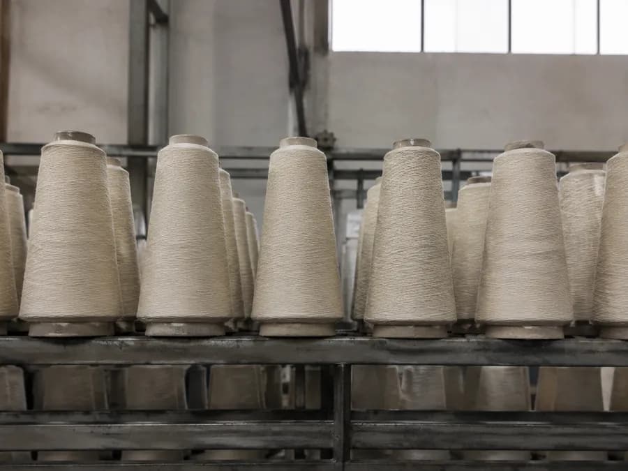 A row of undyed yarn cones on a spinning frame